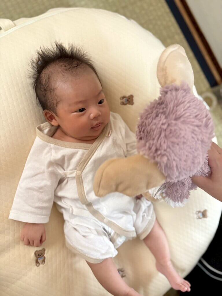 大阪市都島区の産後サポートと新生児のお世話